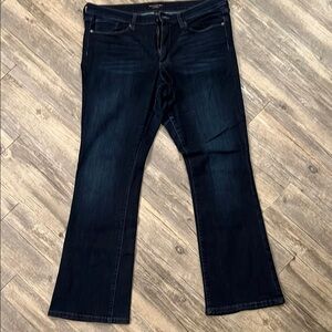 Banana Republic Blue Flare Wide Leg Jeans